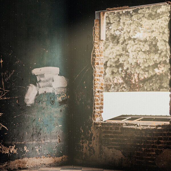 Vadjenje stokova vrata Beograd